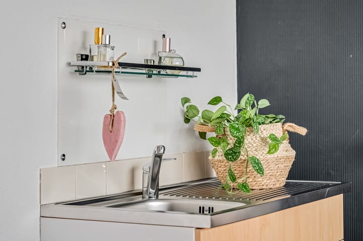 Foto 14 van Luynhorst 11