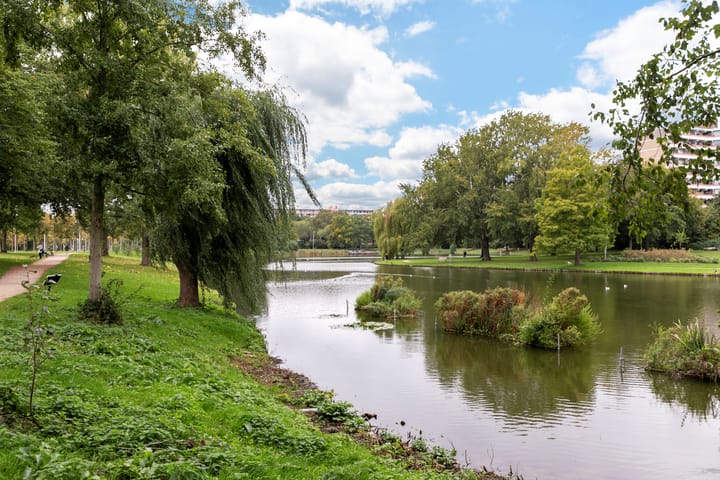 Foto 39 van Luynhorst 11