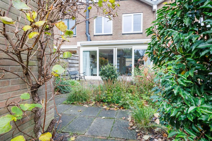 Foto 18 van Lauwerbes 3