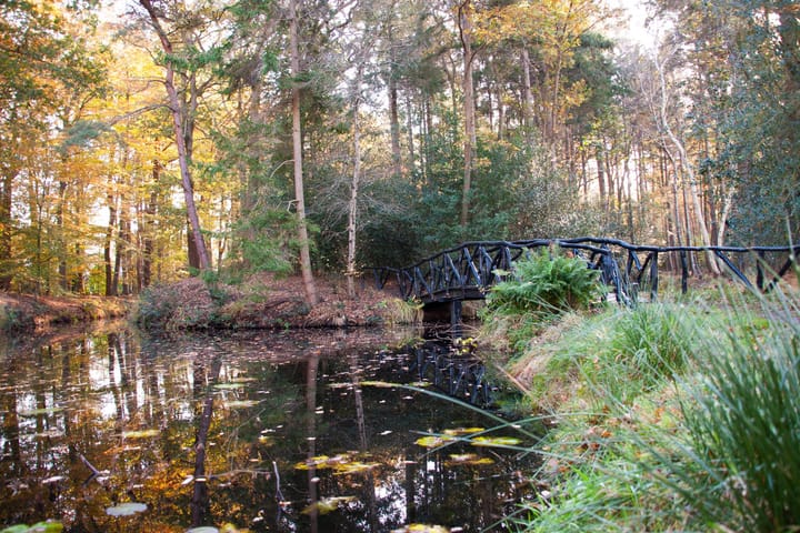 Foto 32 van Molenhoek 38