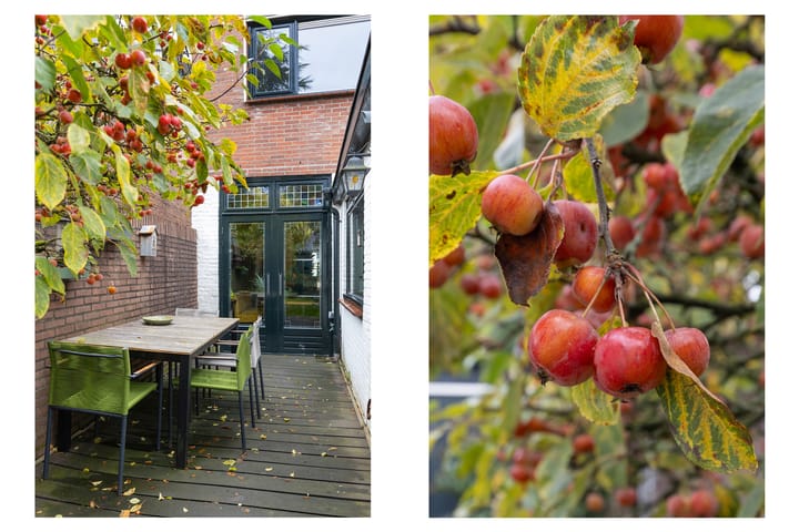 Foto 44 van Oude Brandenburgerweg 31