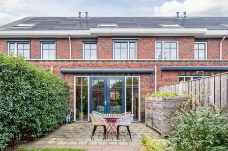 Hyacint 21 secondary image