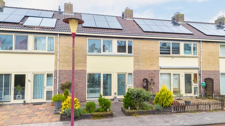 undefined main image