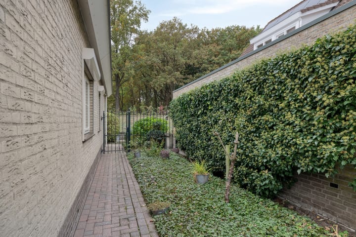 Foto 35 van Magnolia 40