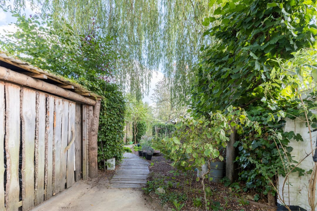 Foto 31 van Traaij 164