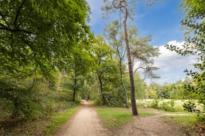 Foto 54 van Traaij 164