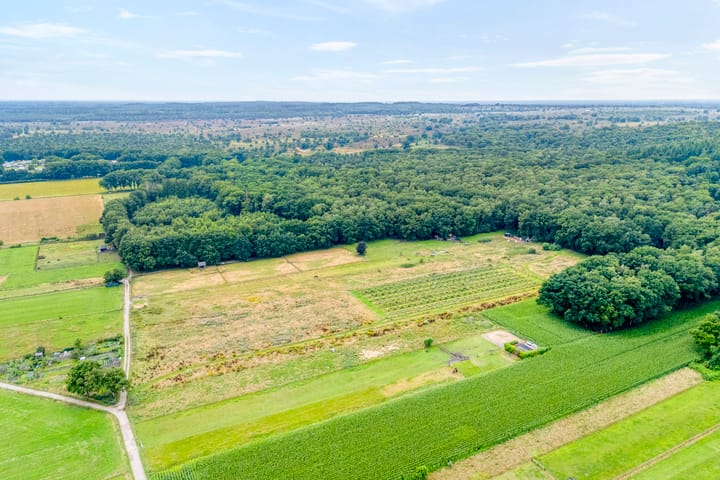 Foto 46 van Duivenbreeweg 12-B