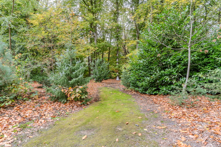 Foto 79 van Finantiën 2