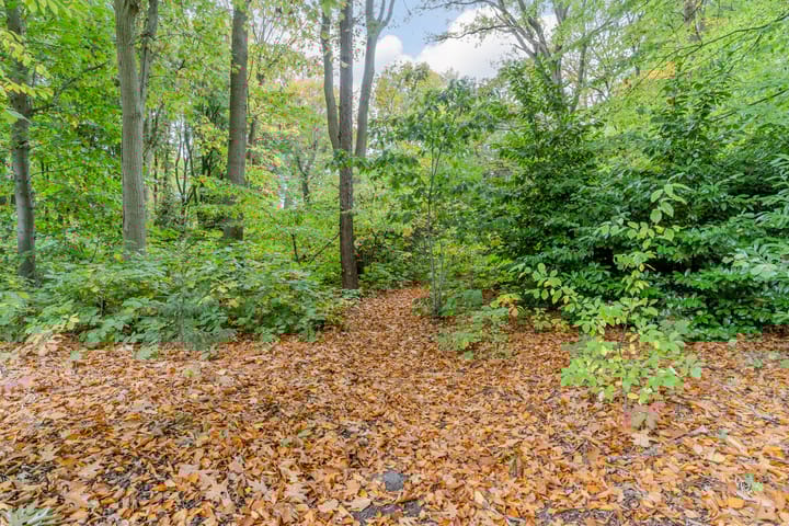 Foto 81 van Finantiën 2