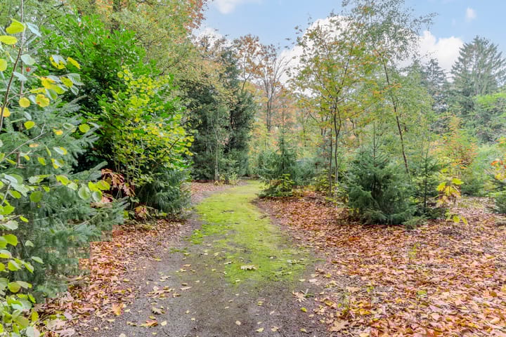 Foto 83 van Finantiën 2