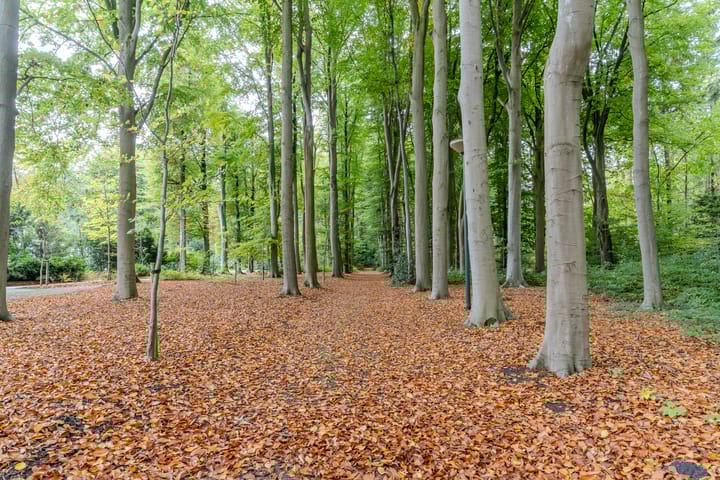 Foto 86 van Finantiën 2