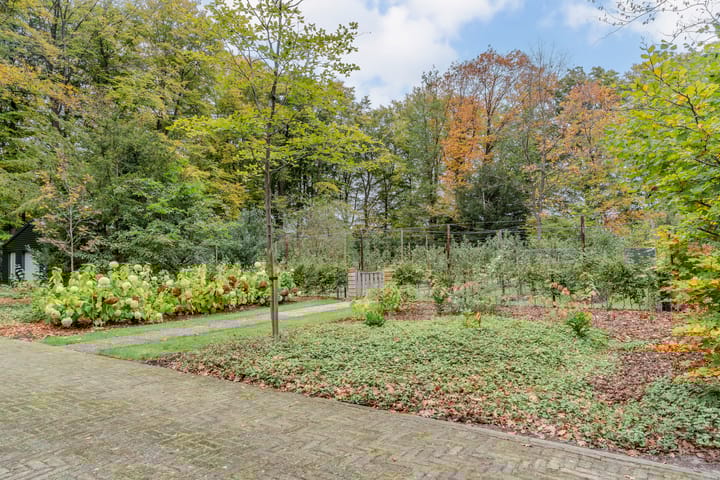 Foto 91 van Finantiën 2