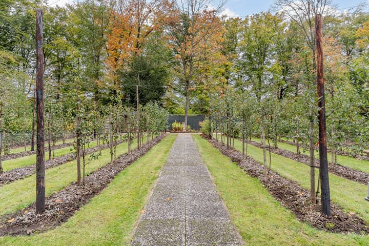 Foto 92 van Finantiën 2