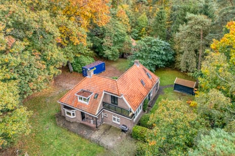 undefined main image