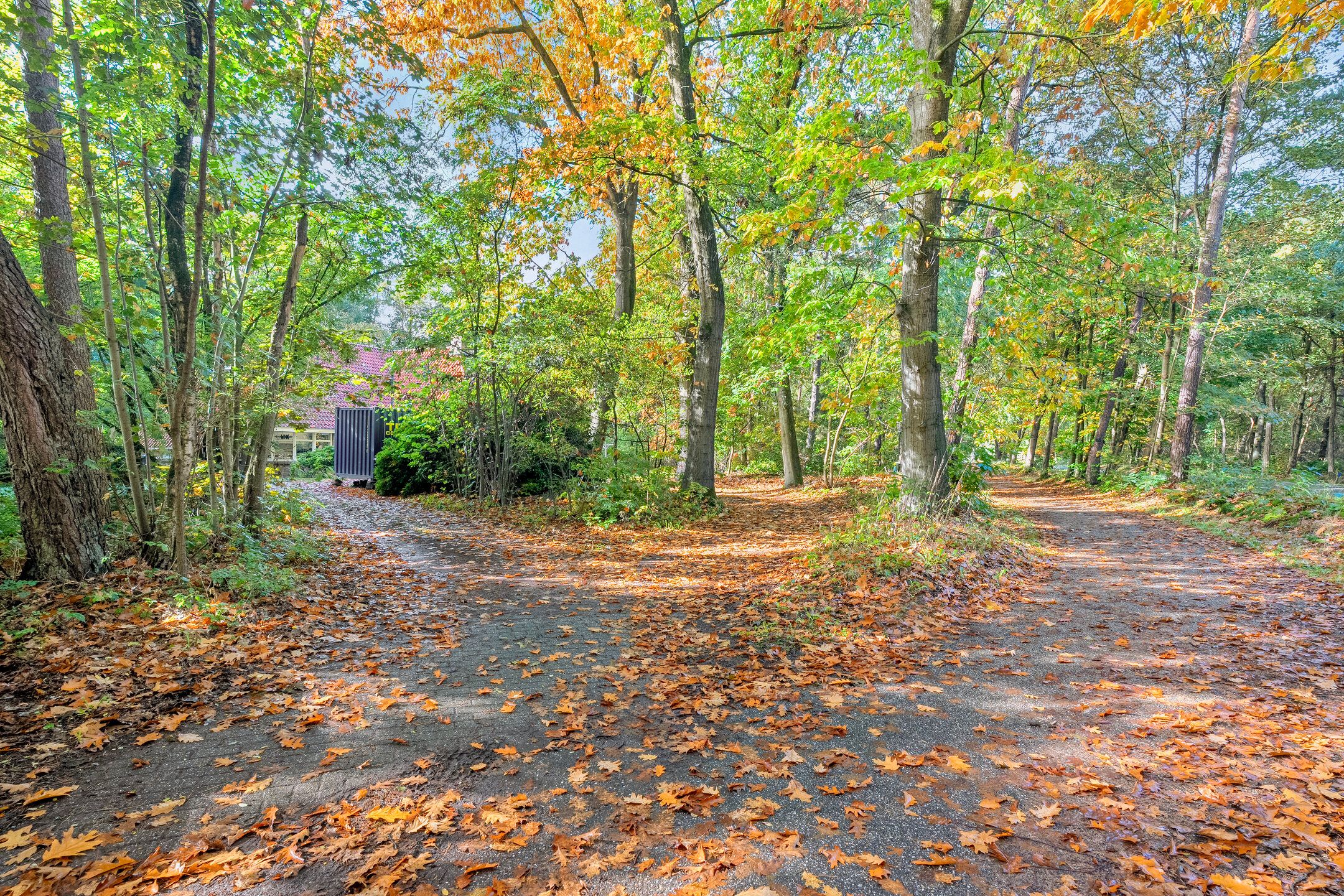 Foto 54 van Beerzerweg 7