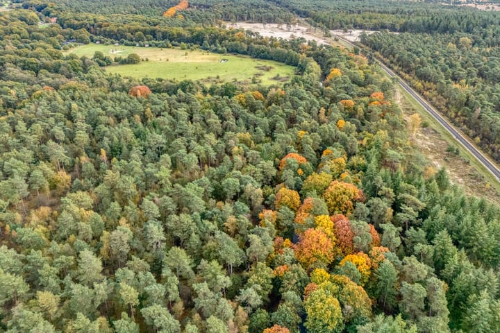 Foto 60 van Beerzerweg 7