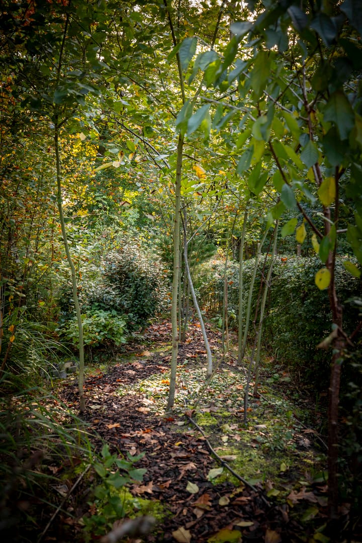 Foto 25 van Schuurmansweg 1-B