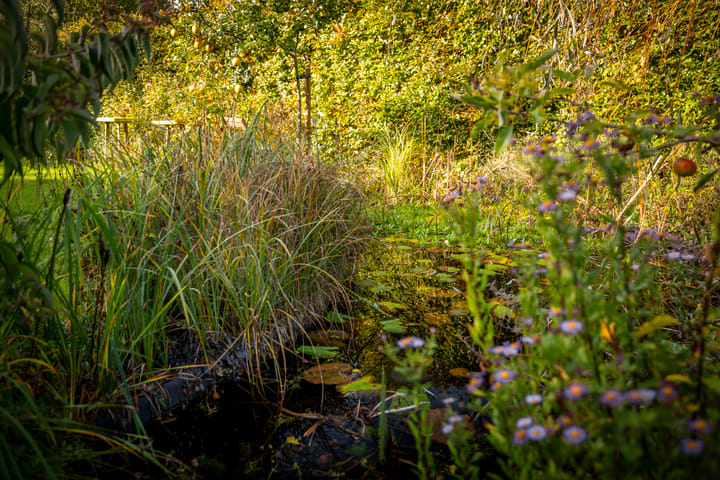 Foto 29 van Schuurmansweg 1-B