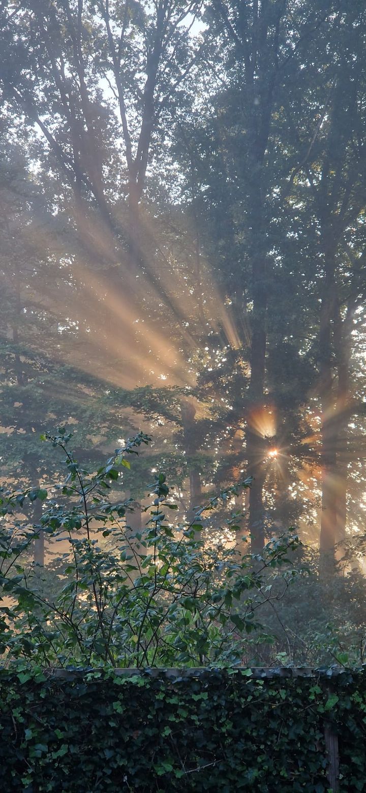 Foto 46 van Schuurmansweg 1-B