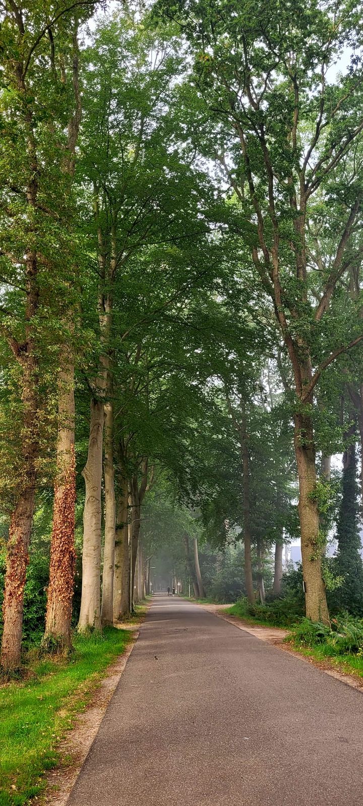 Foto 47 van Schuurmansweg 1-B