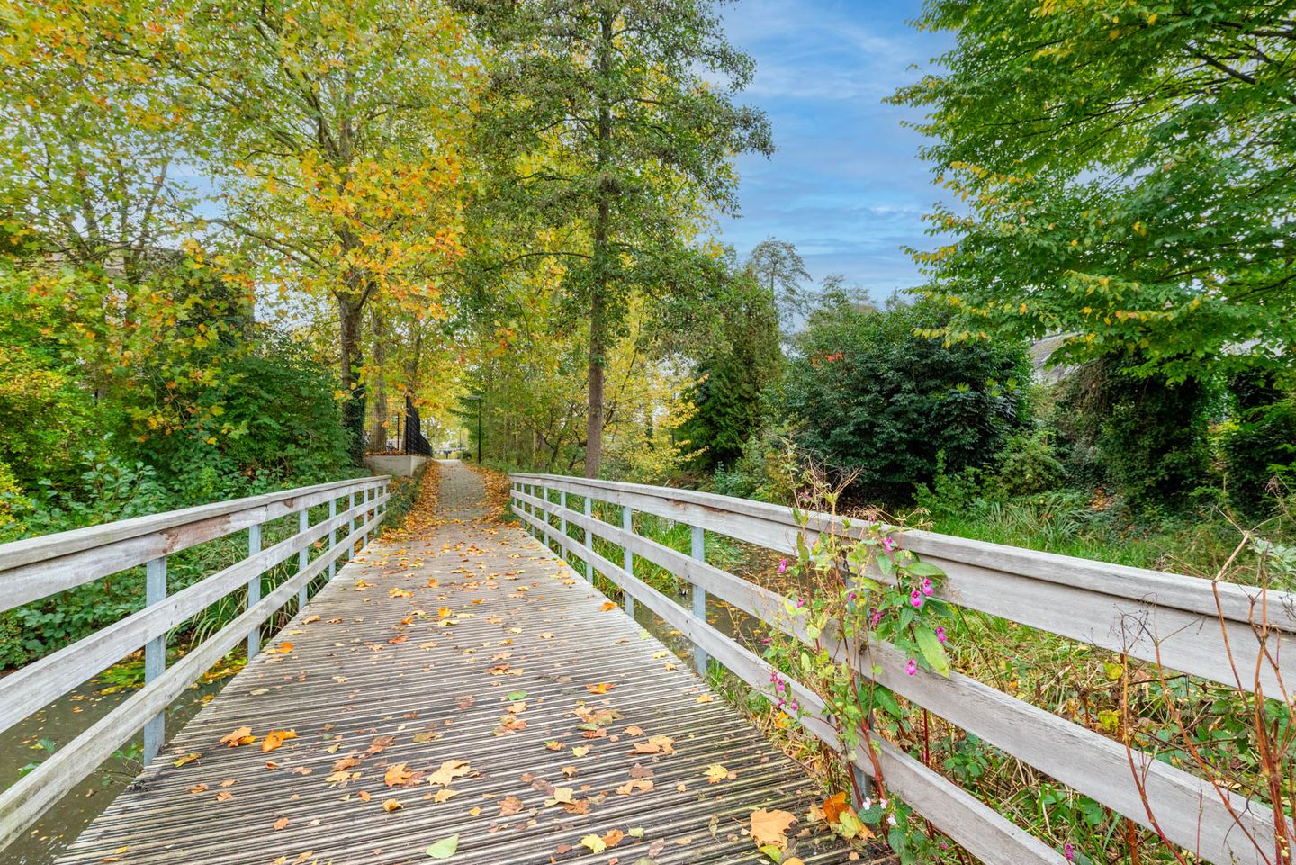 Photo 35 of Prentsnijdershorst 101