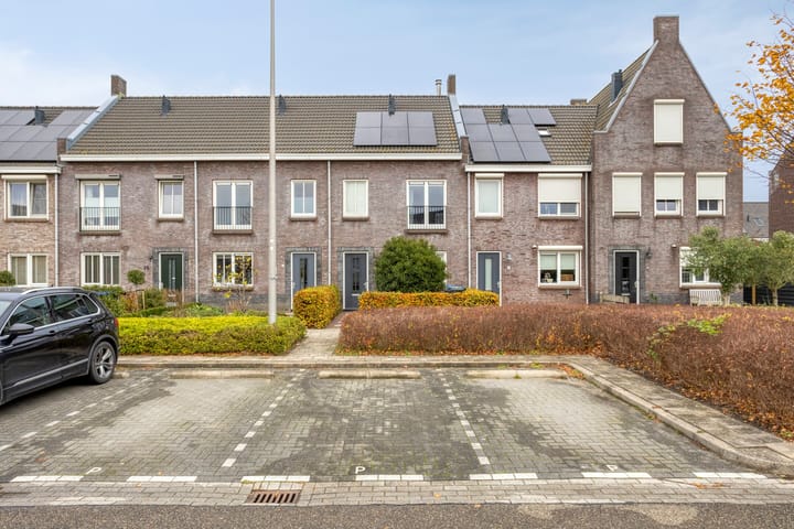 Foto 7 van Honingeter 27