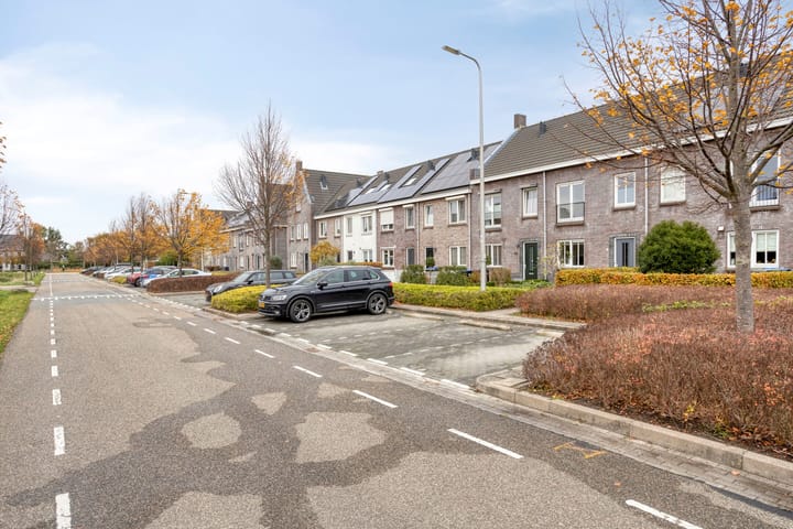 Foto 8 van Honingeter 27