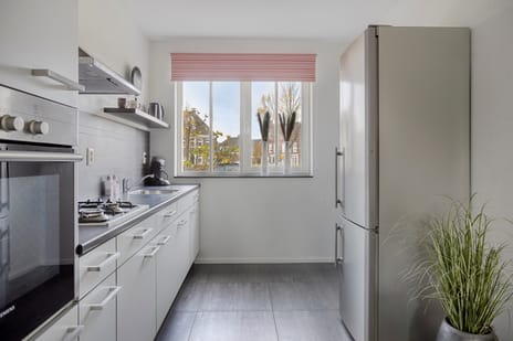 Honingeter 27 tertiary image