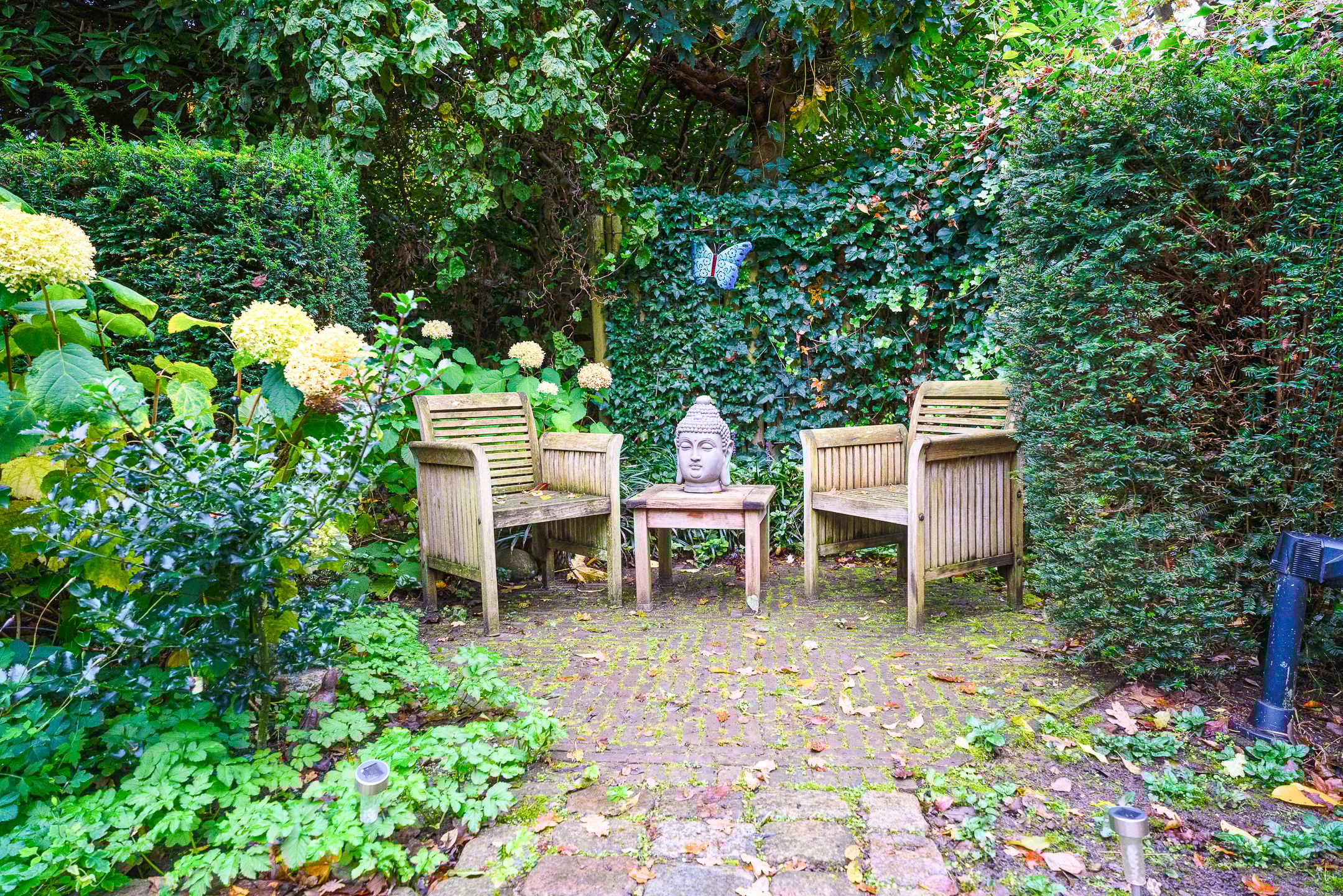 Foto 27 van Cloekemaat 5