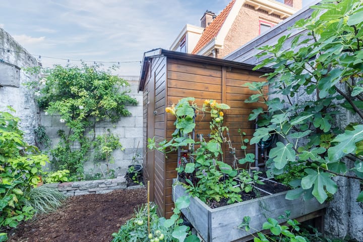 Foto 12 van Korenbloemstraat 53