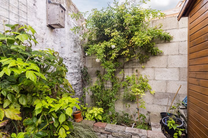 Foto 13 van Korenbloemstraat 53