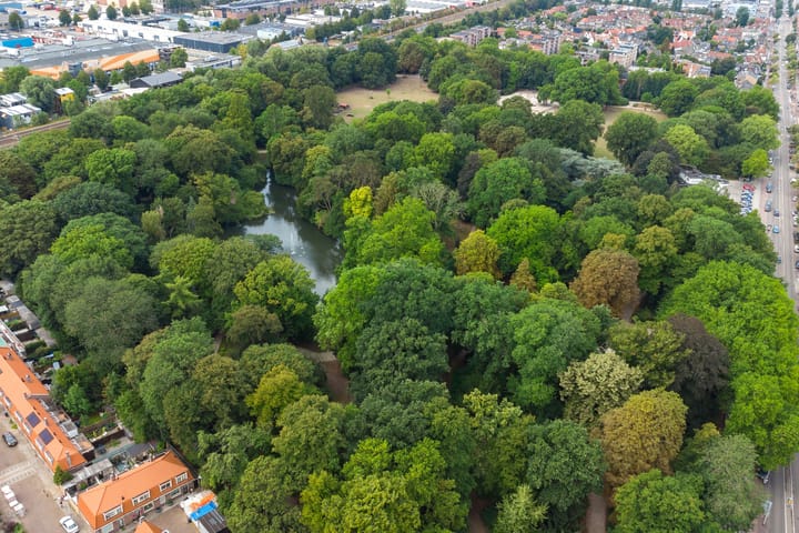 Foto 59 van Korenbloemstraat 53