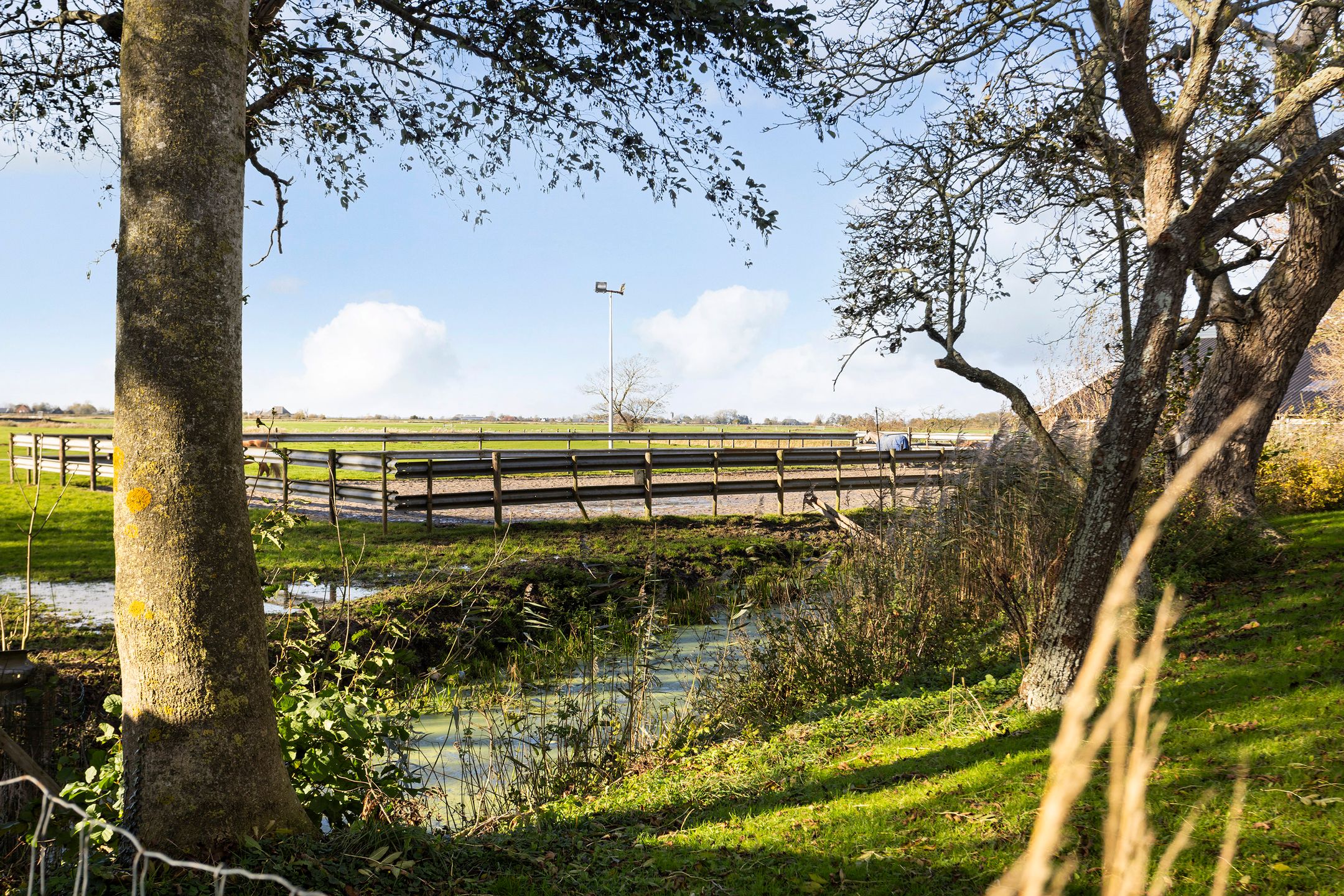 Foto 36 van Greate Buorren 33