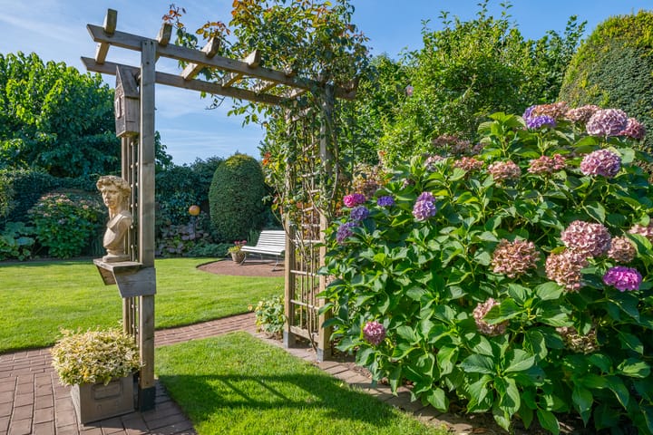 Foto 33 van Multatulihof 38