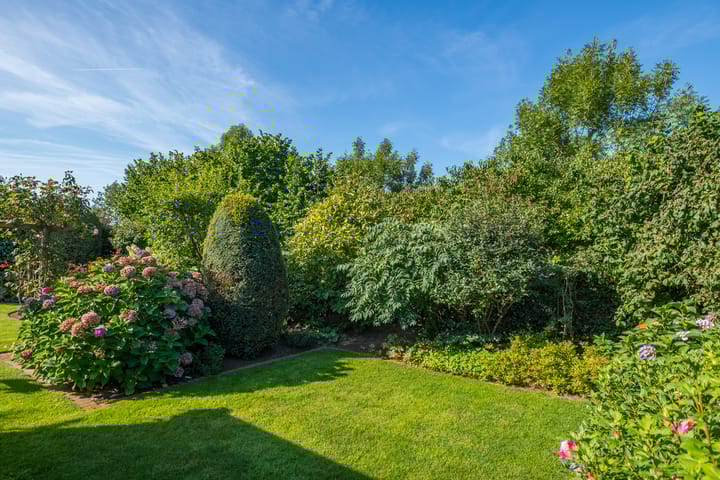 Foto 34 van Multatulihof 38