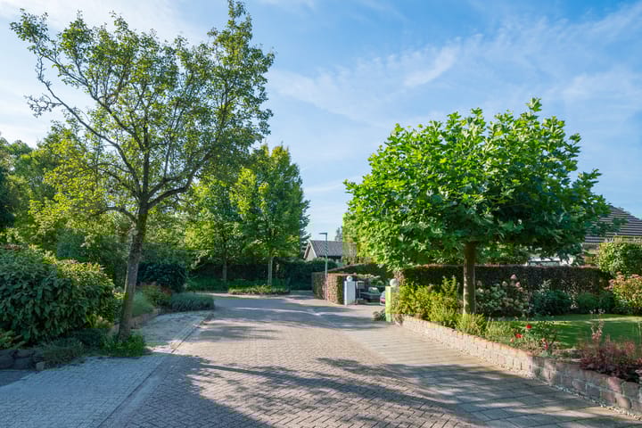 Foto 38 van Multatulihof 38