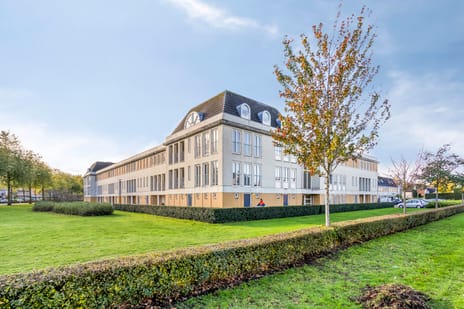 undefined main image