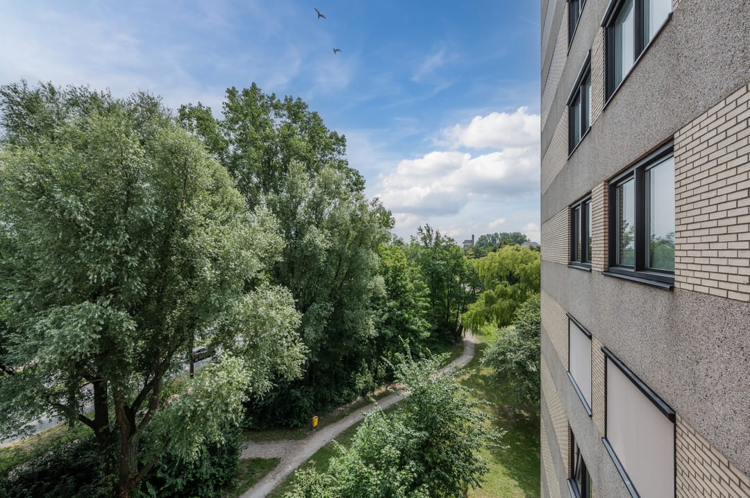 Foto 7 van Piet Heinlaan 51