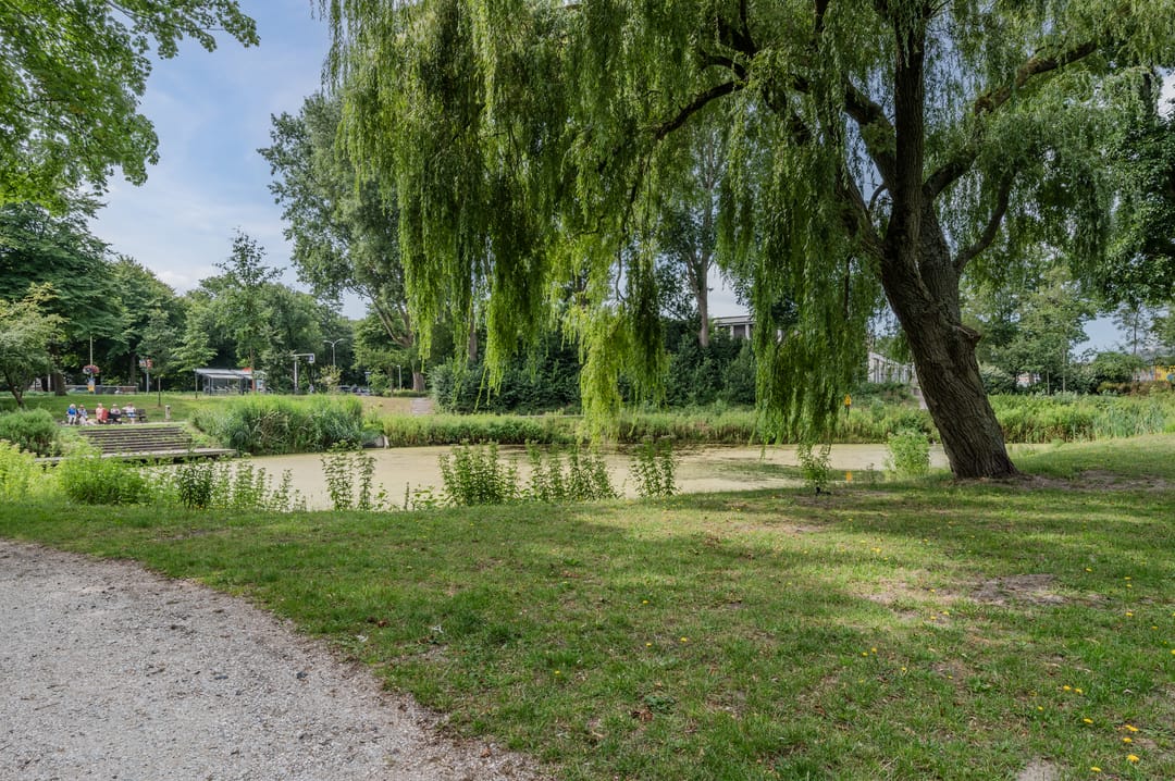 Foto 31 van Piet Heinlaan 51