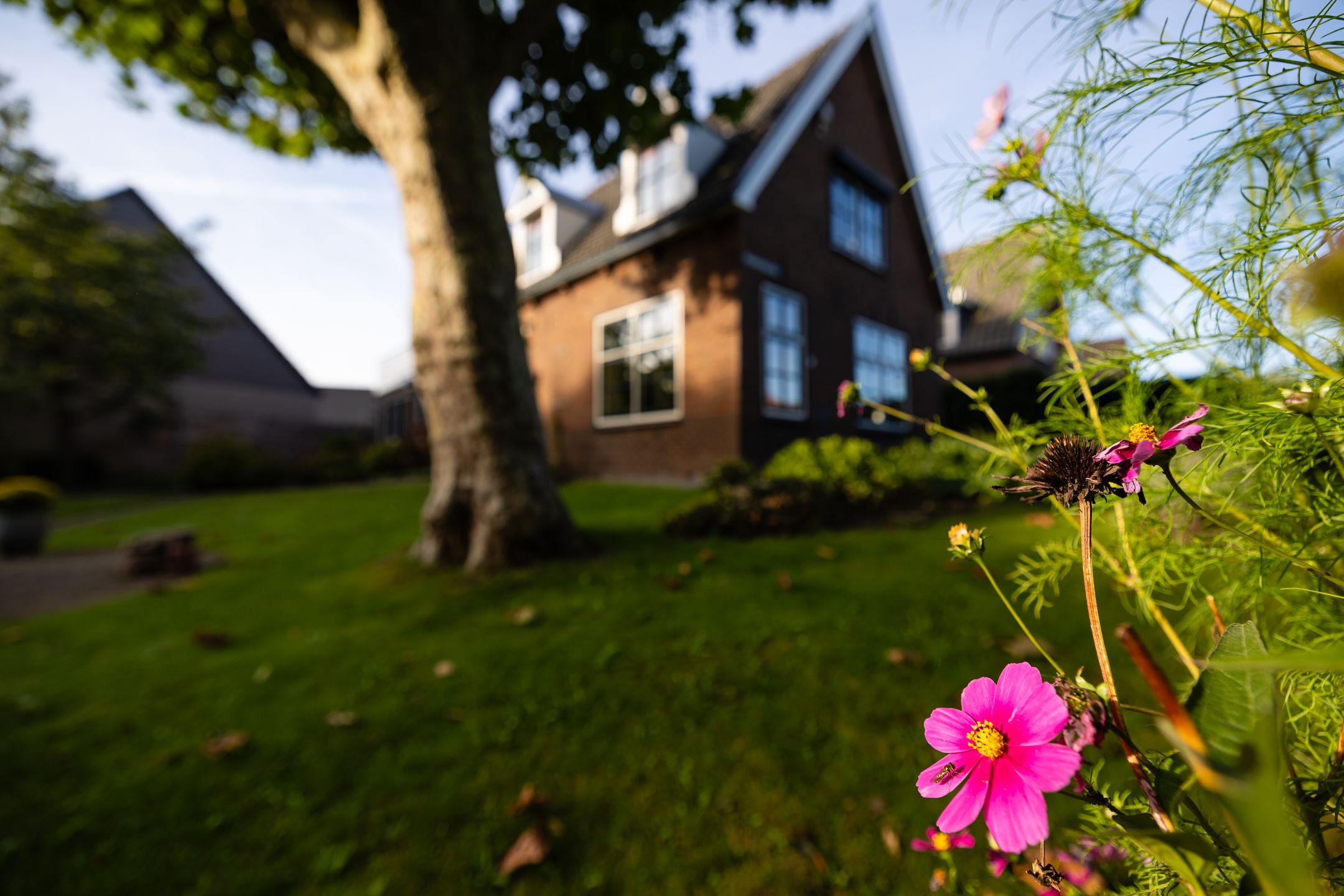 Foto 33 van Moerkensgaard 1