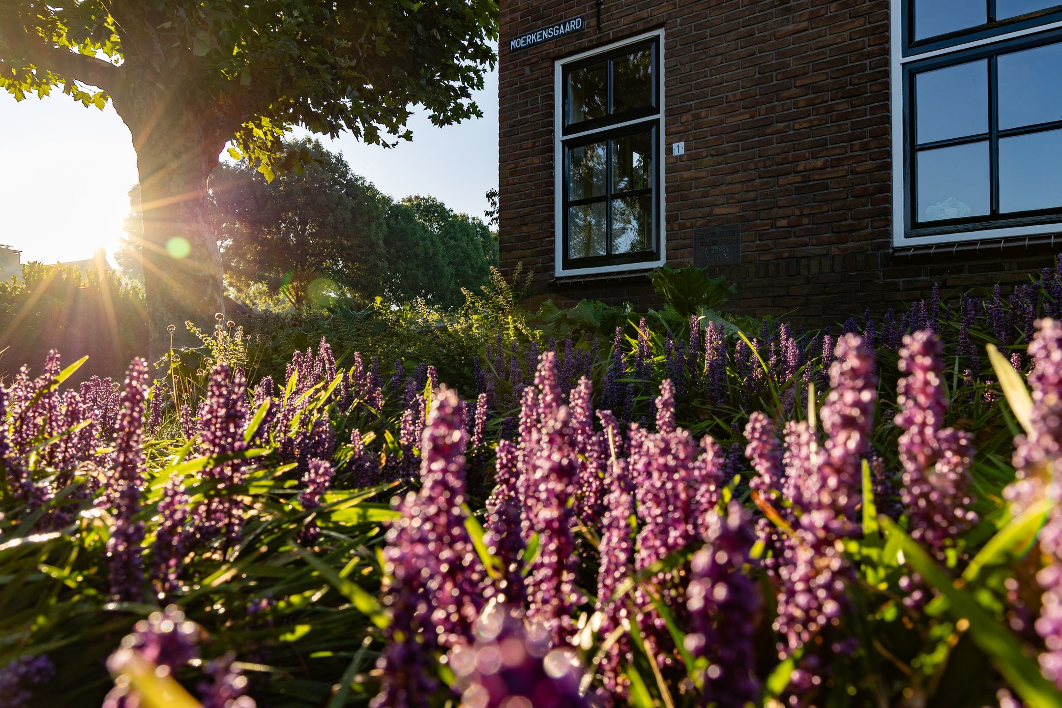 Foto 36 van Moerkensgaard 1