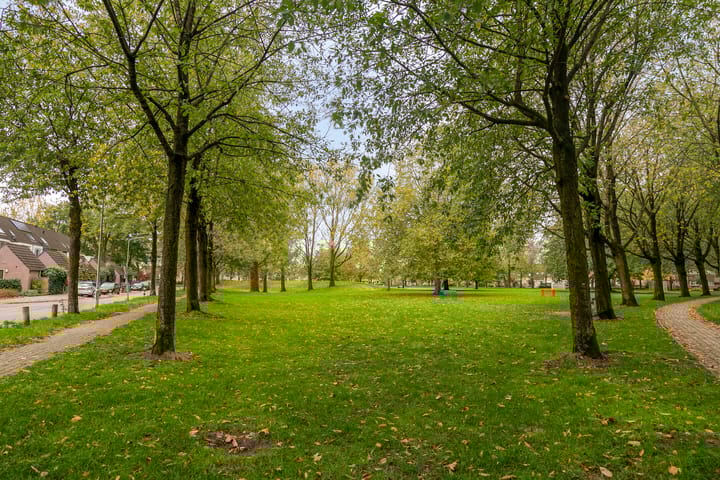 Photo 36 of Jan Steenlaan 33