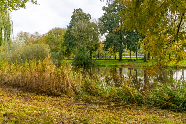 Foto 32 van Rhodosdreef 72