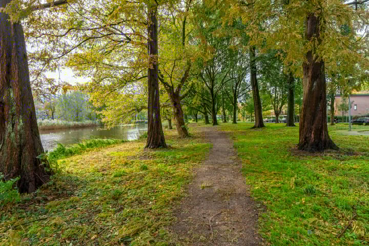 Foto 33 van Rhodosdreef 72