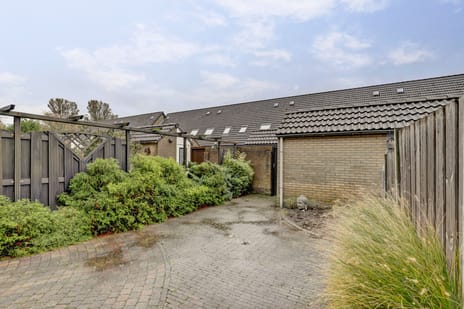 Obrecht 16 tertiary image