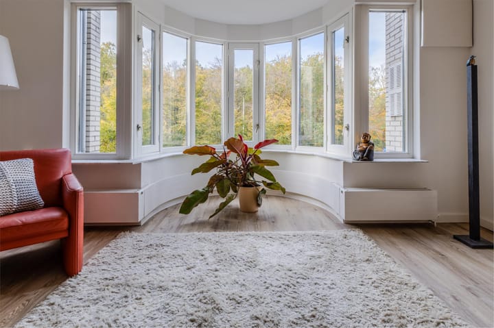 Foto 3 van Bezuidenhoutseweg 351-A