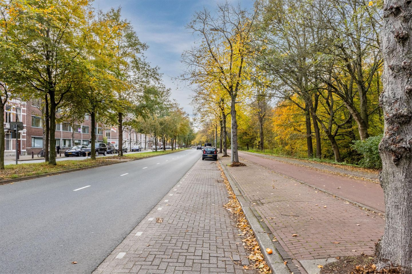 Foto 29 van Bezuidenhoutseweg 351-A