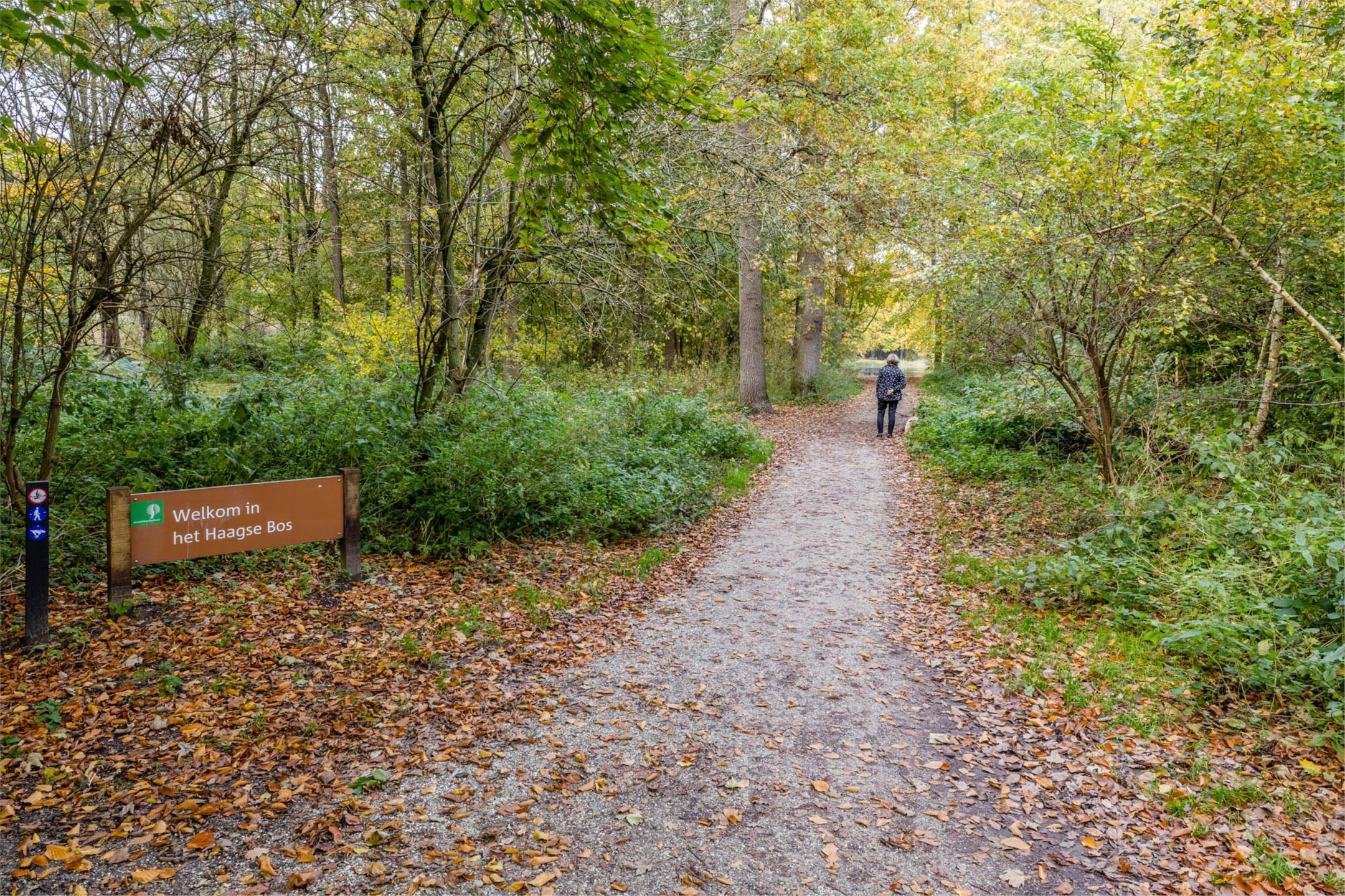 Foto 30 van Bezuidenhoutseweg 351-A