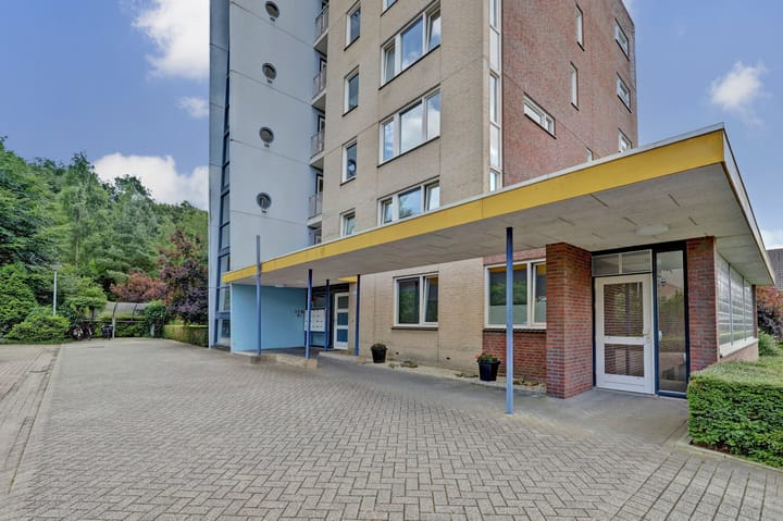 Foto 3 van Veldzuring 127