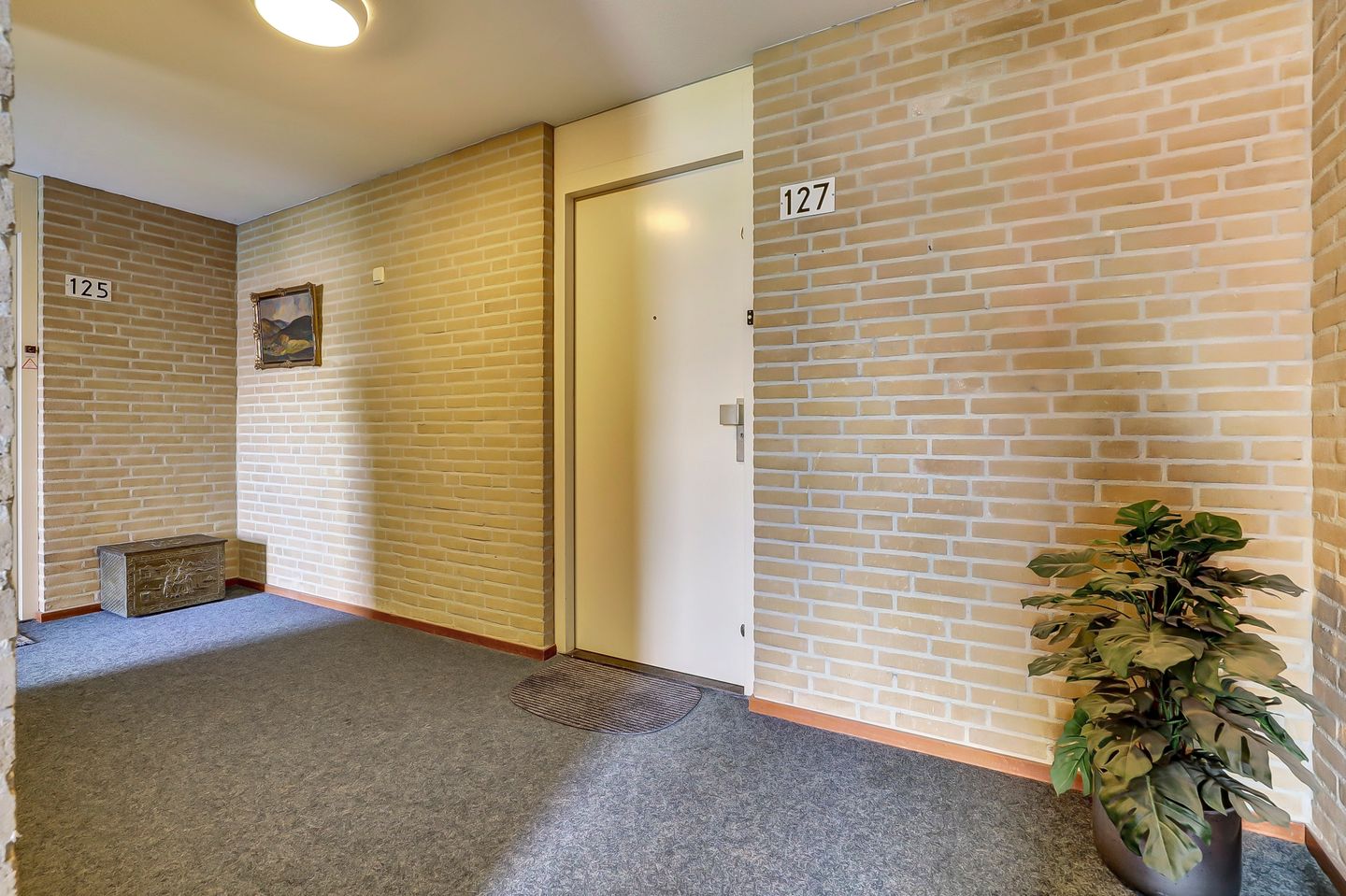 Foto 5 van Veldzuring 127